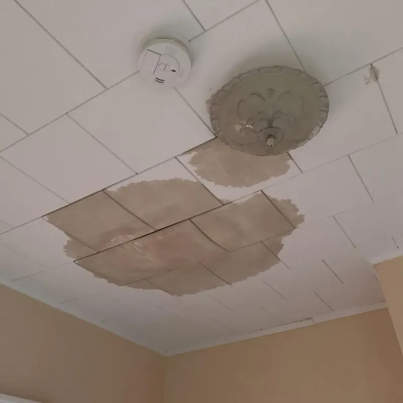 Ceiling Water Damage Repair in Columbus, OH
