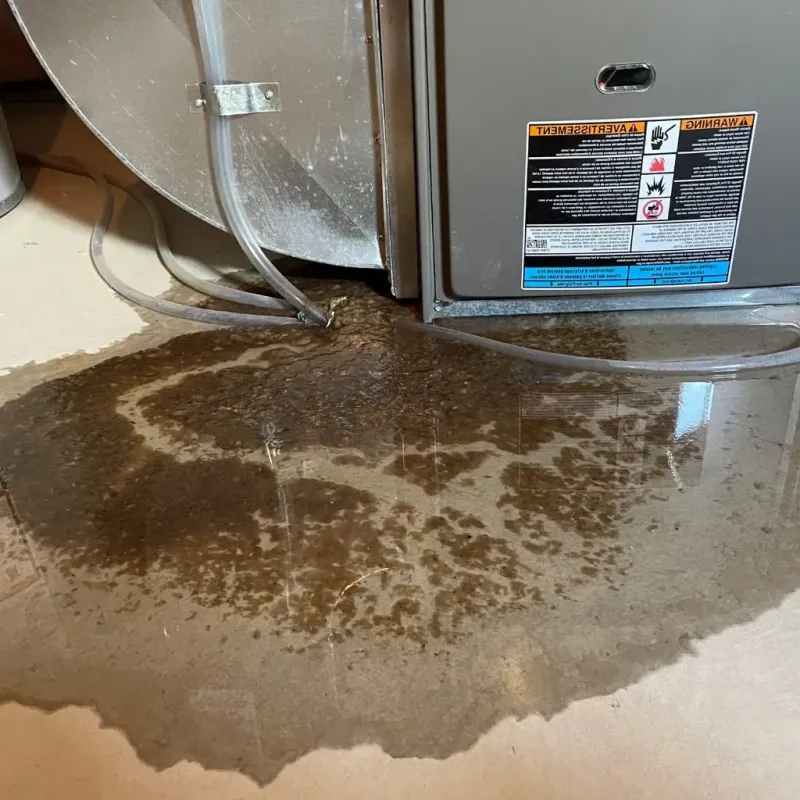 Pipe Burst and Leak Restoration in Columbus, OH