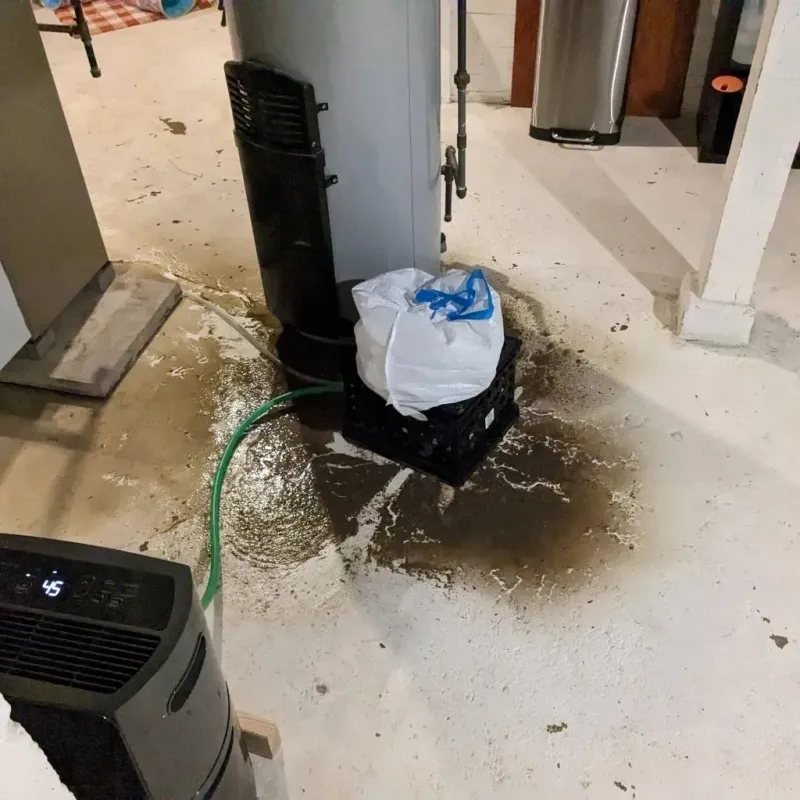 Sewage Backup Cleanup Service in Columbus, OH